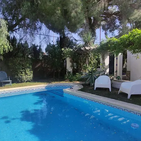 Sunny Pool & Garden In